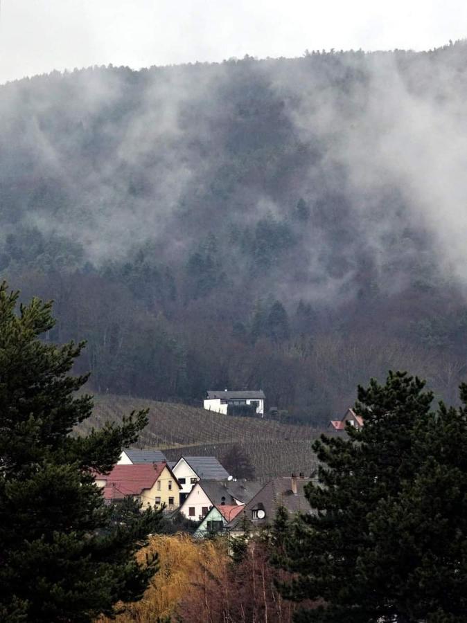 Birgele Villa Riquewihr Dış mekan fotoğraf