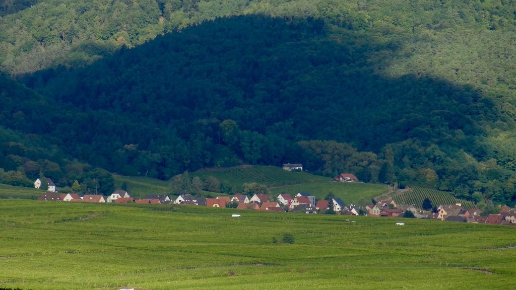 Birgele Villa Riquewihr Dış mekan fotoğraf